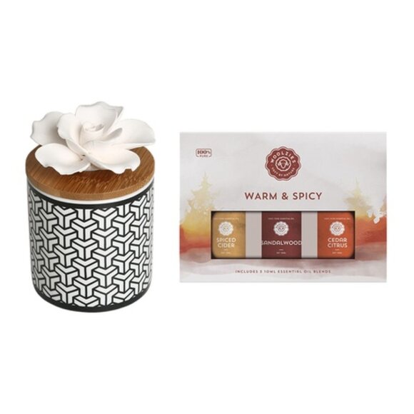 BLUZEN Cylinder Succulent Oil Diffuser Kit and Essential Oil Blends. - Picture 1 of 1